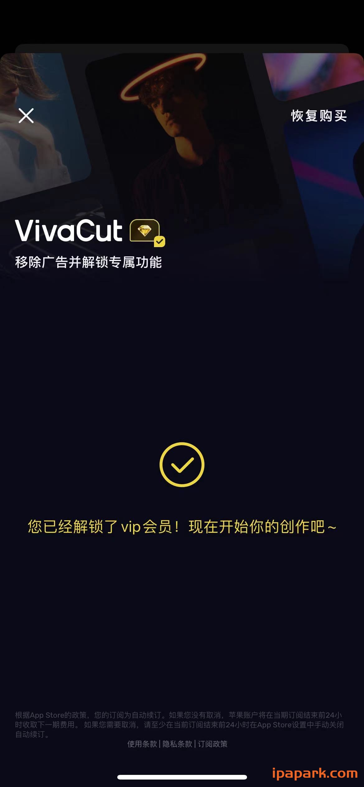 图片[2]-VivaCut 3.3.9 专业级剪辑软件-iPA资源站