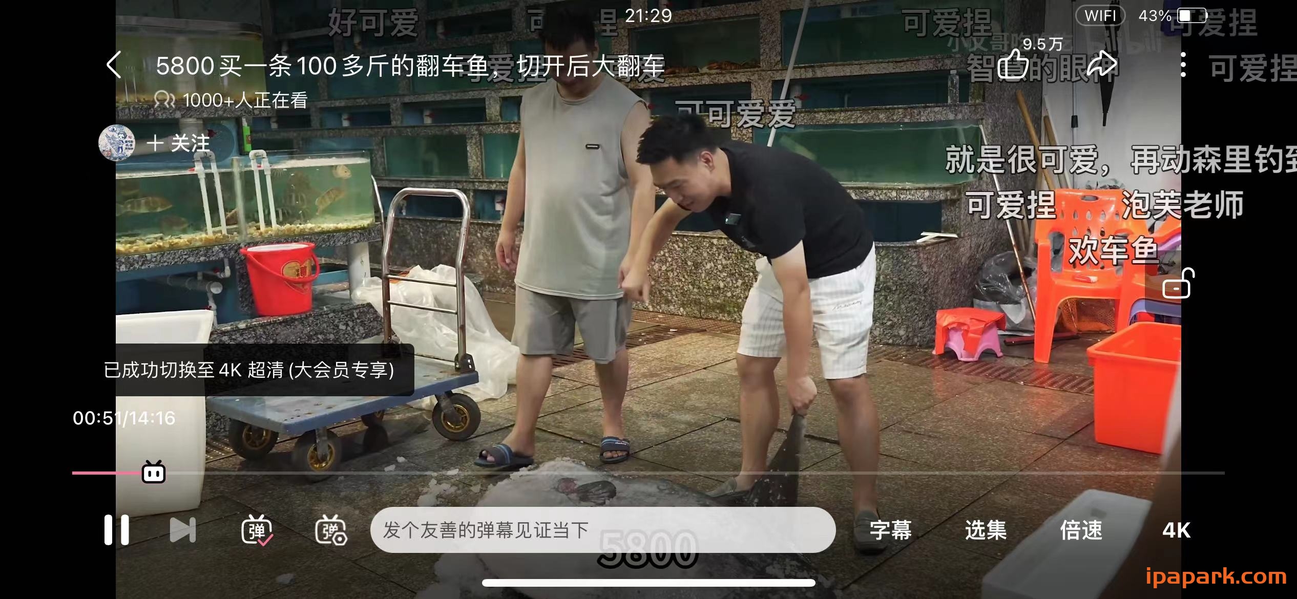 图片[1]-哔哩哔哩 7.54.0 解锁大会员画质-iPA资源站