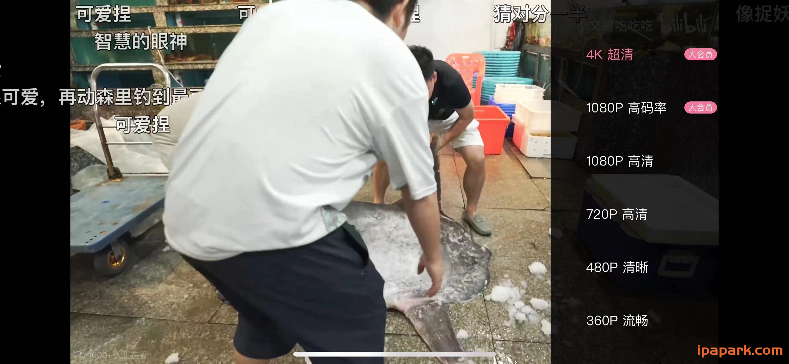 图片[2]-哔哩哔哩 7.54.0 解锁大会员画质-iPA资源站