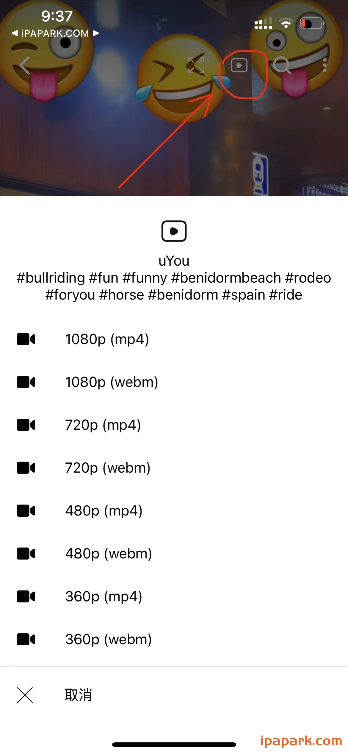 图片[4]-YouTube 19.06.2 油管-iPA资源站
