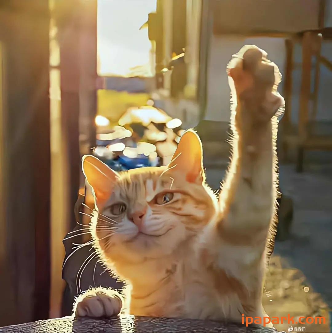 Dqddq的头像-iPA资源站