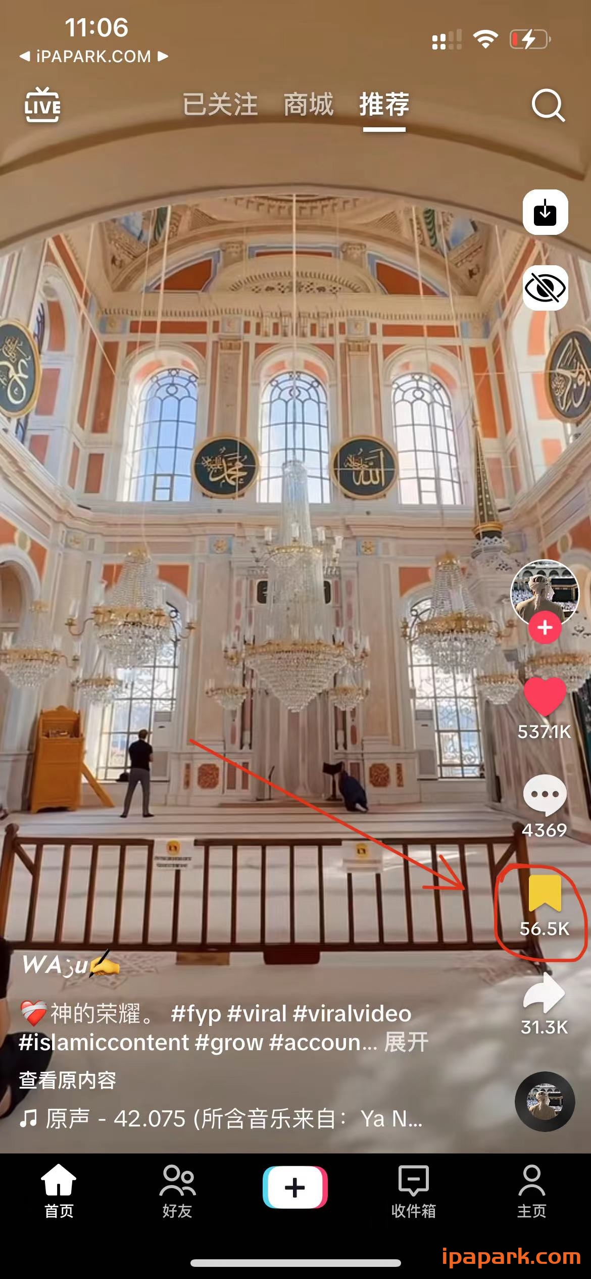 图片[3]-TikTok Dark 33.6.0 抖音国际版 无需登录-iPA资源站