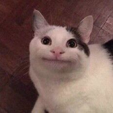 在下燕双鹰的头像-iPA资源站