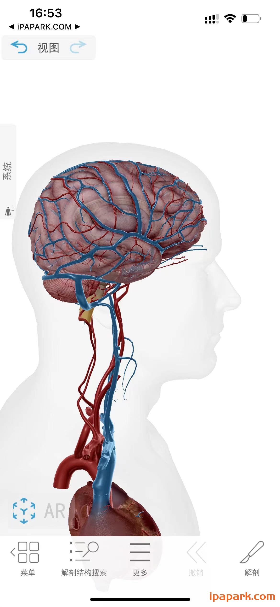图片[2]-2024人体解剖学图谱 2024.00.005-iPA资源站
