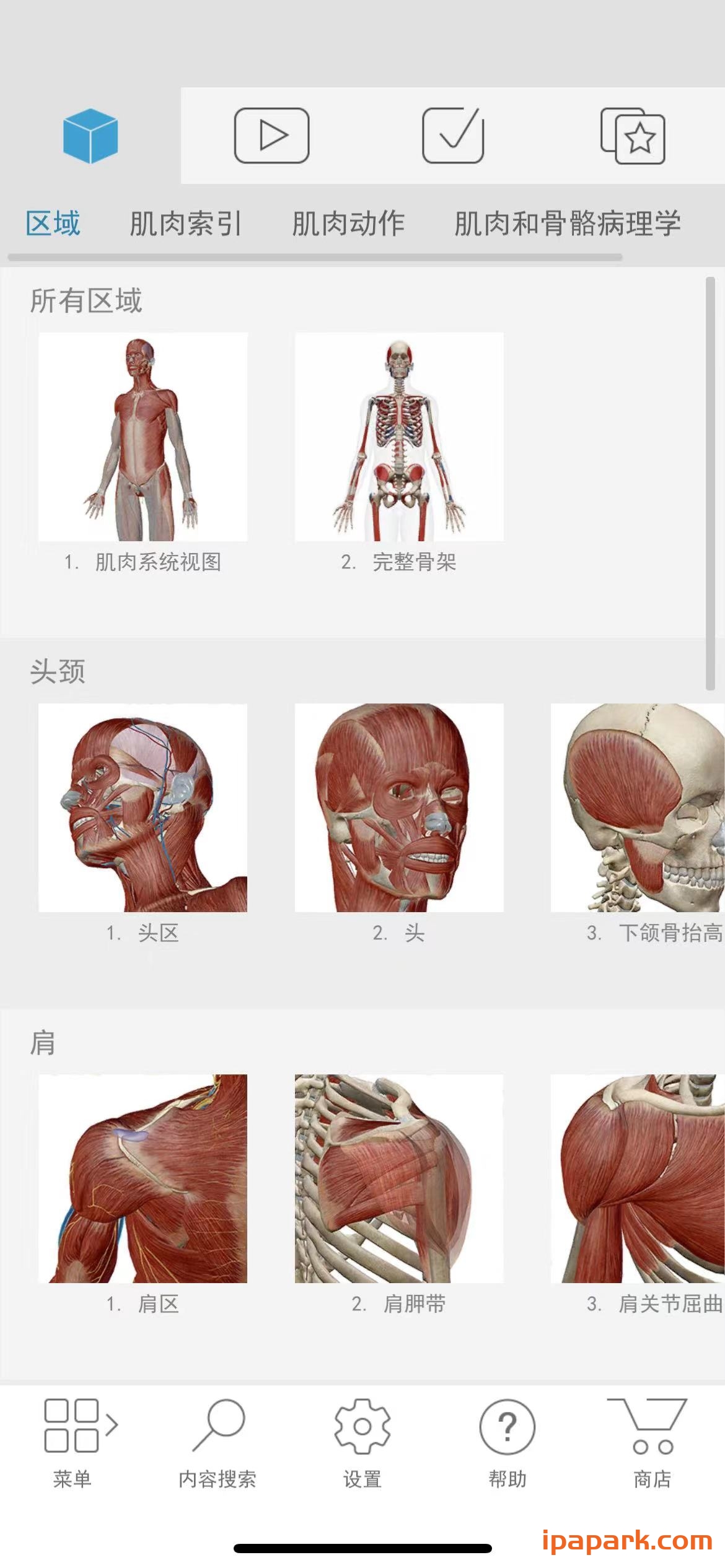 图片[1]-肌肉与运动机能学 9.00.050-iPA资源站