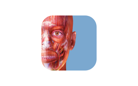 肌肉与运动机能学 9.00.050-iPA资源站