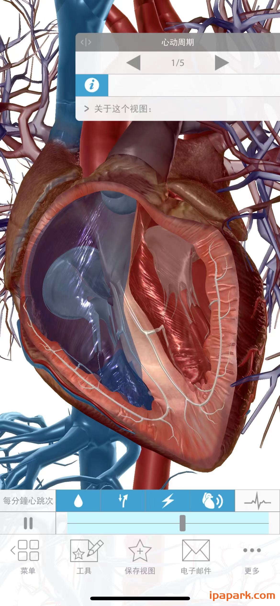 图片[2]-生理和病理学 1.1.39-iPA资源站
