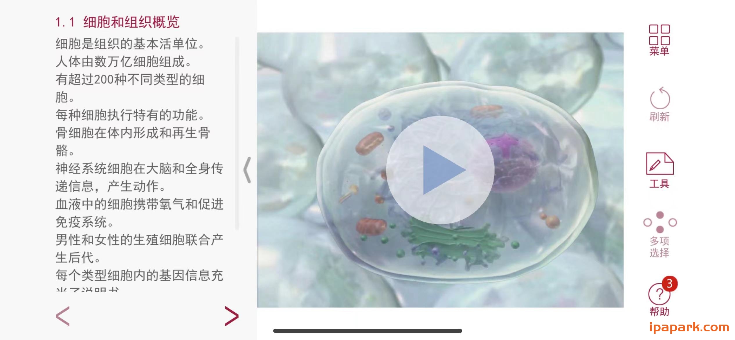 图片[2]-解剖和生理学 6.2.00-iPA资源站