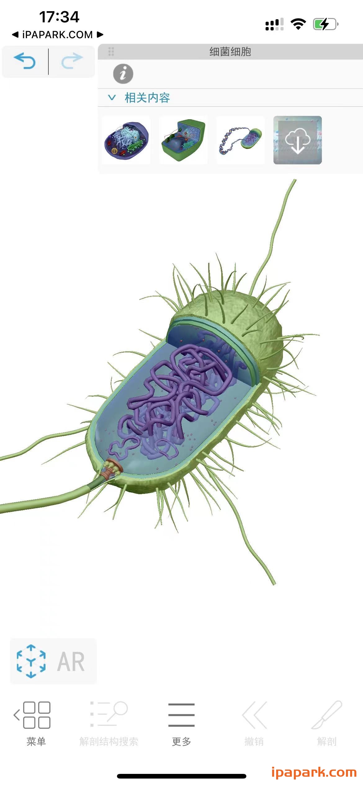 图片[2]-可视化生物学 1.00.047-iPA资源站
