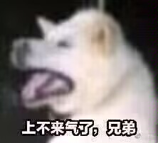 downe的头像-iPA资源站