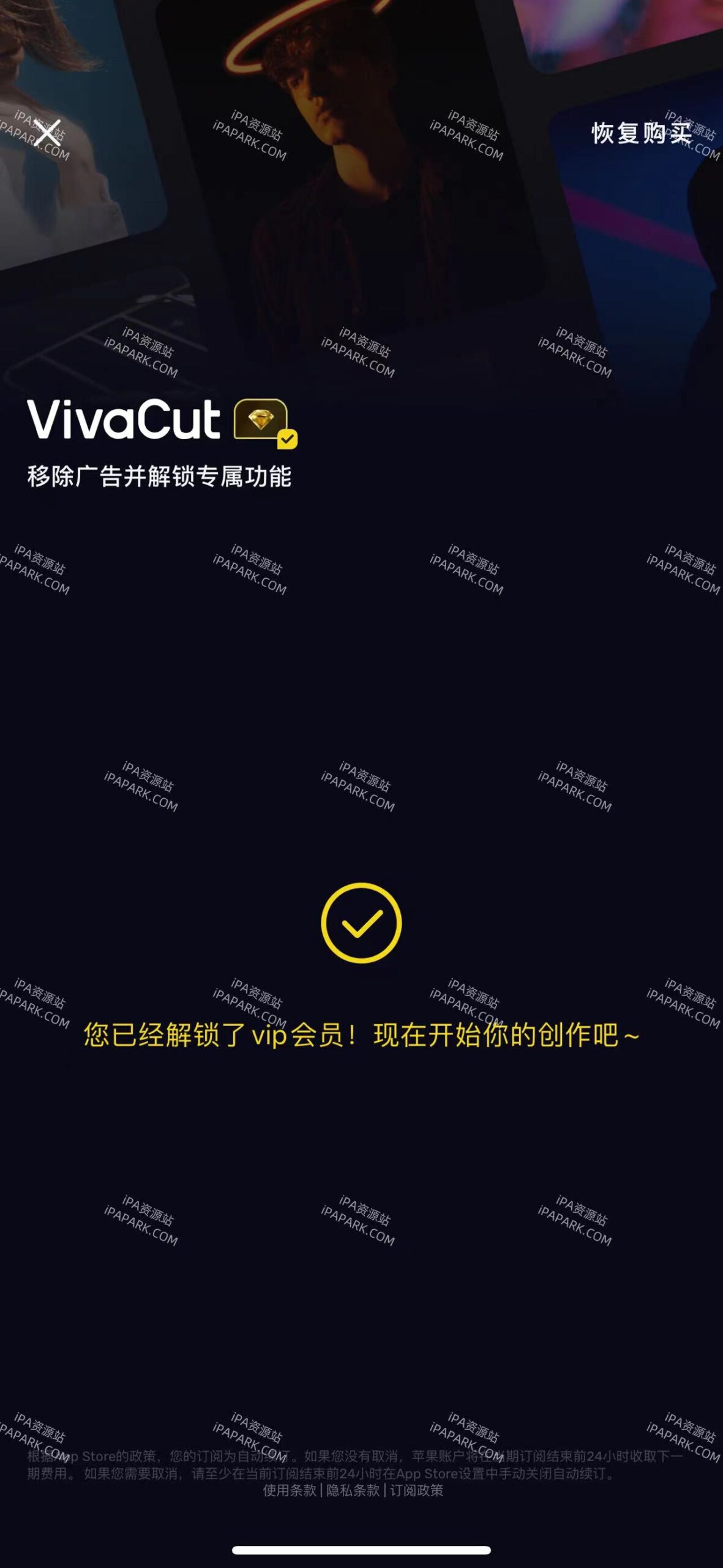 图片[2]-VivaCut 3.8.4 专业级剪辑软件-iPA资源站