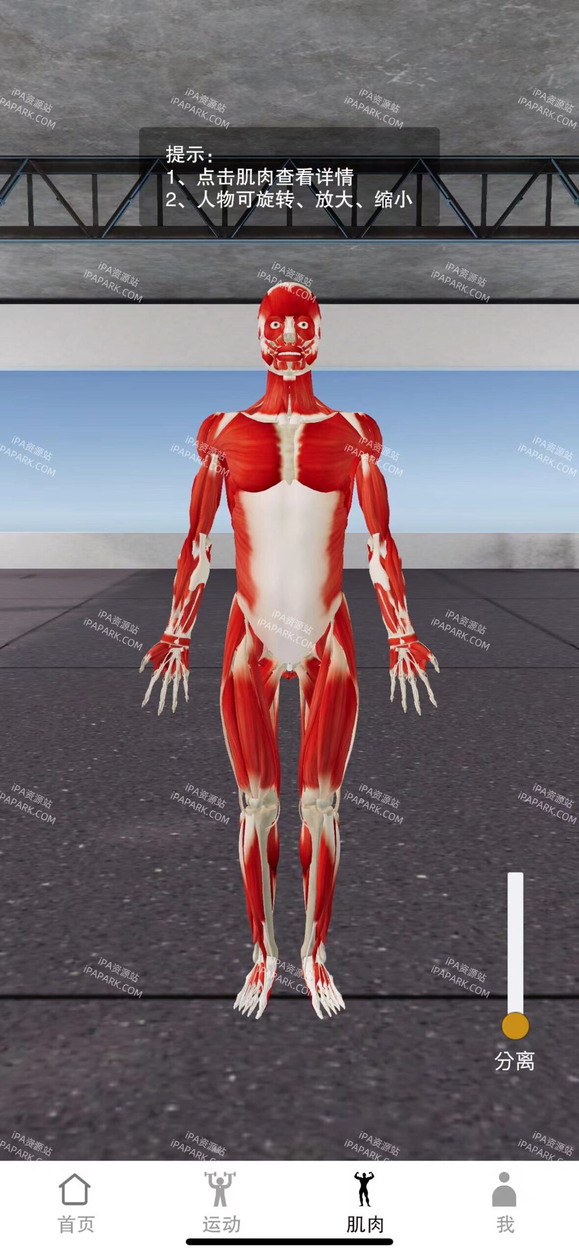 图片[4]-尚可健身 4.2.4 Adbk-iPA资源站