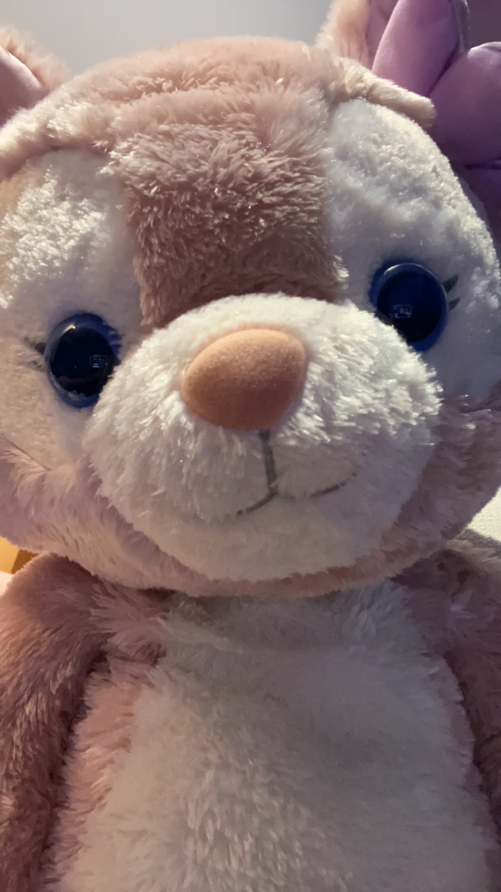 zhupaopao的头像-iPA资源站