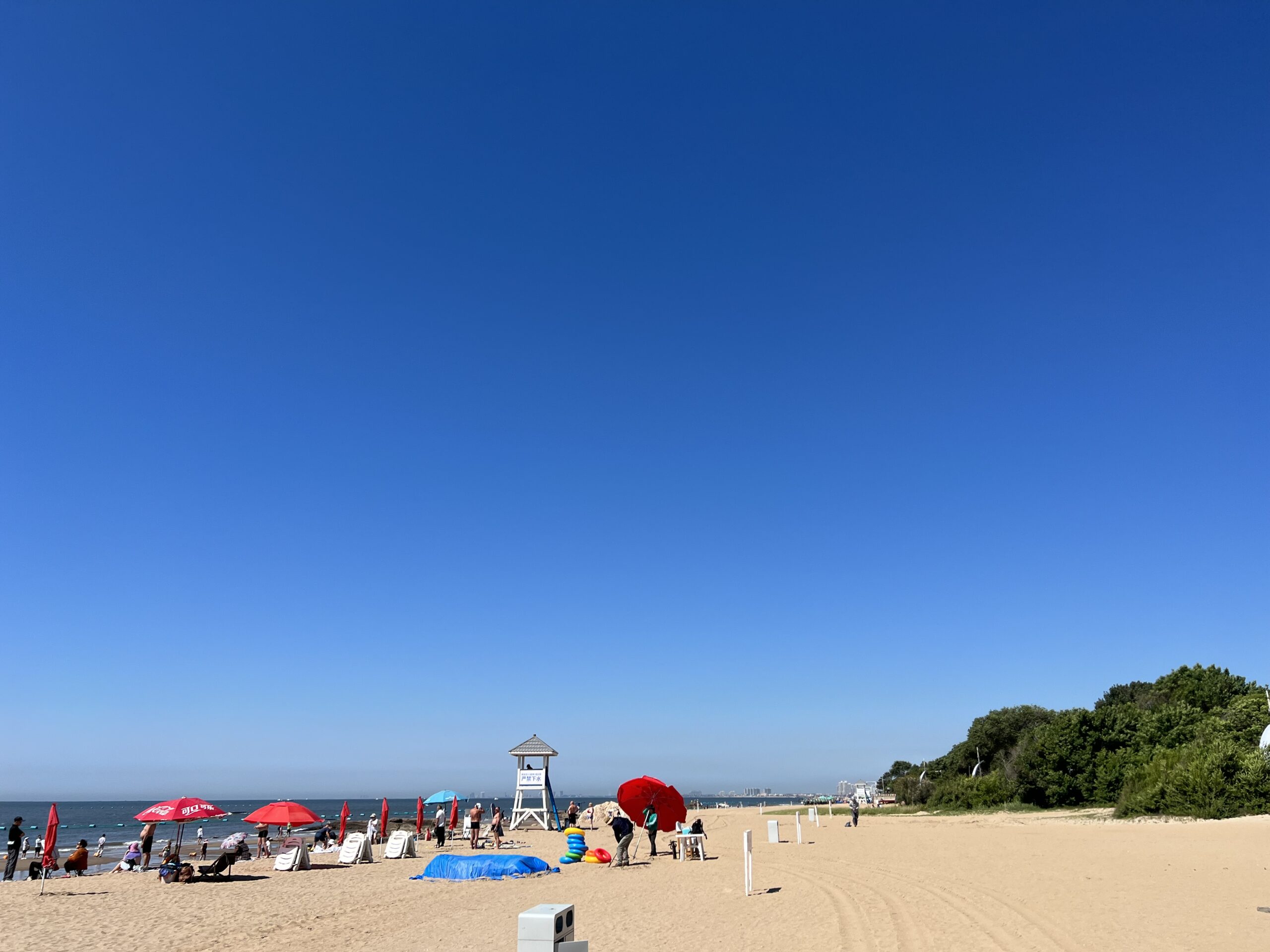 涂涂兔兔的头像-iPA资源站