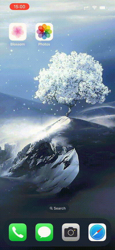 图片[2]-Blossom 1.0 动态壁纸-iPA资源站