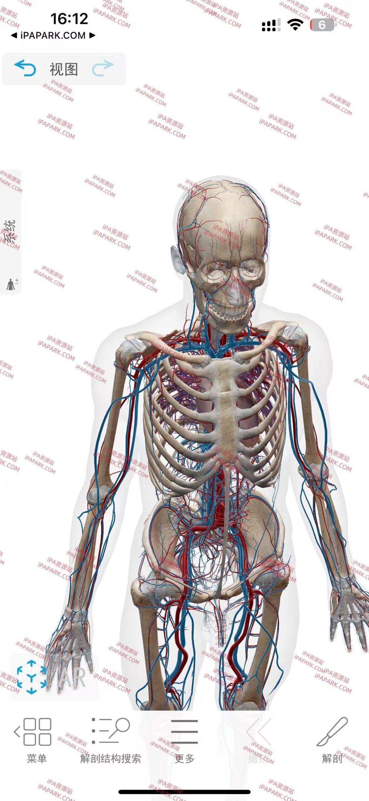 图片[2]-2025人体解剖学图谱 2025.00.012-iPA资源站