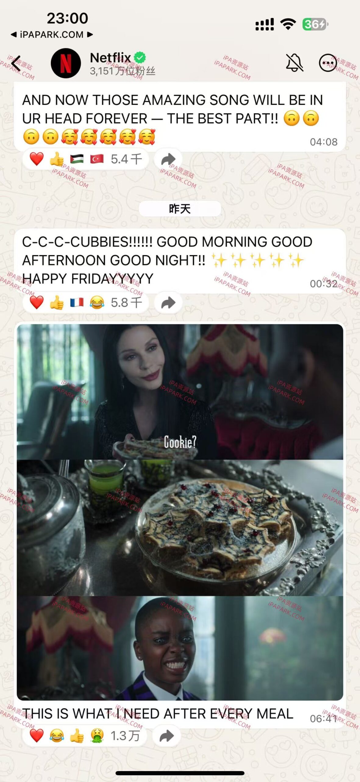 图片[2]-WhatsApp 25.21.78-iPA资源站