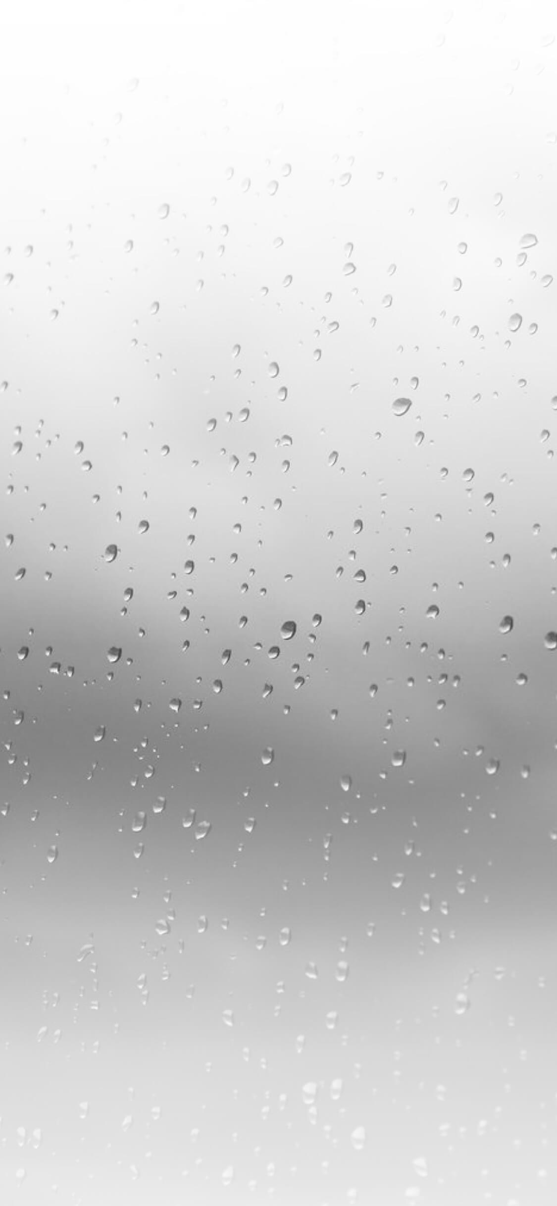 情似绵绵雨的头像-iPA资源站