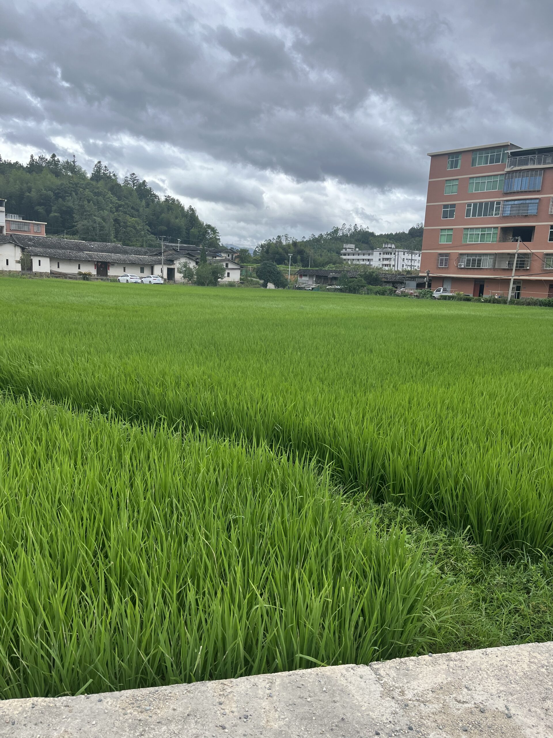 1134694A的头像-iPA资源站