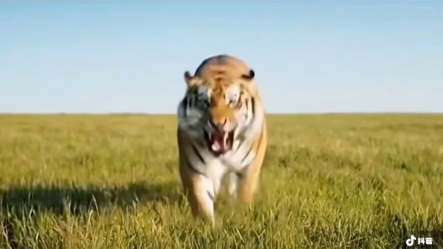 elmurat-iPA资源站