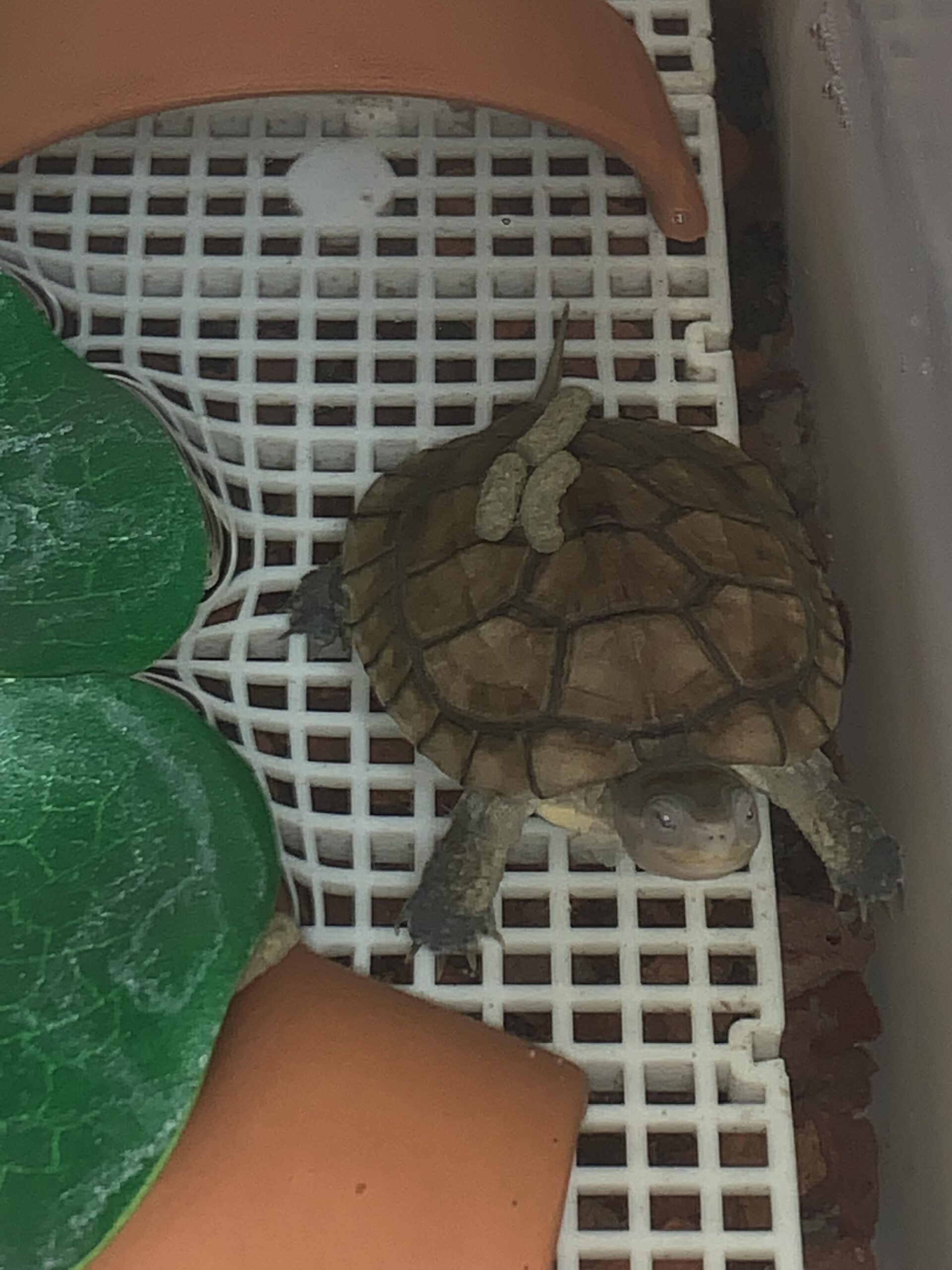 qaws111879的头像-iPA资源站