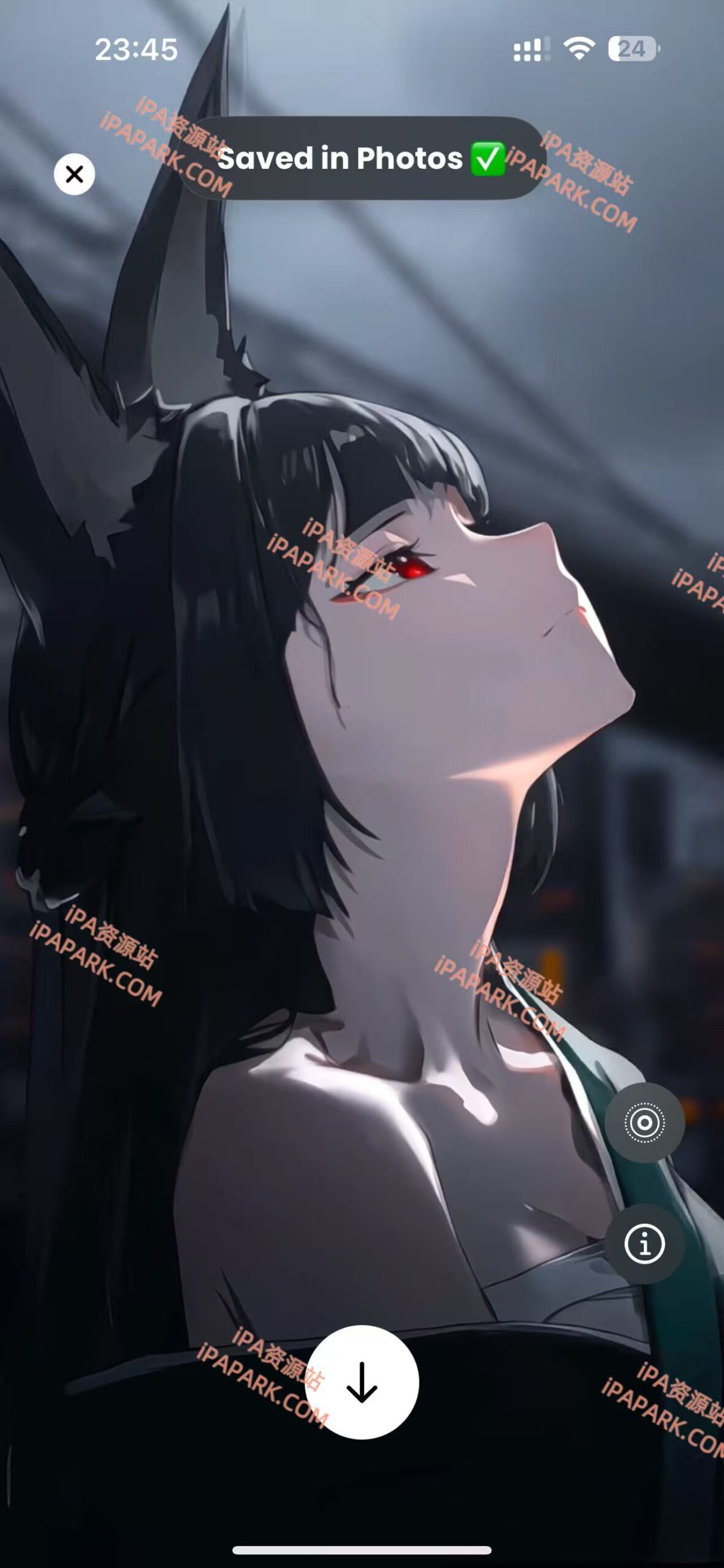 图片[3]-WallPics 3.0.89 动态壁纸-iPA资源站