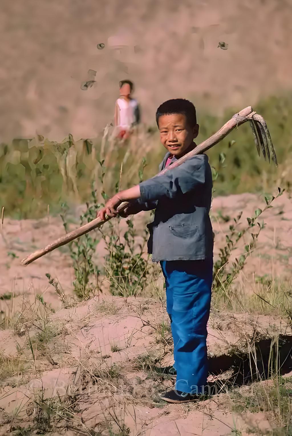 蛋总666-iPA资源站